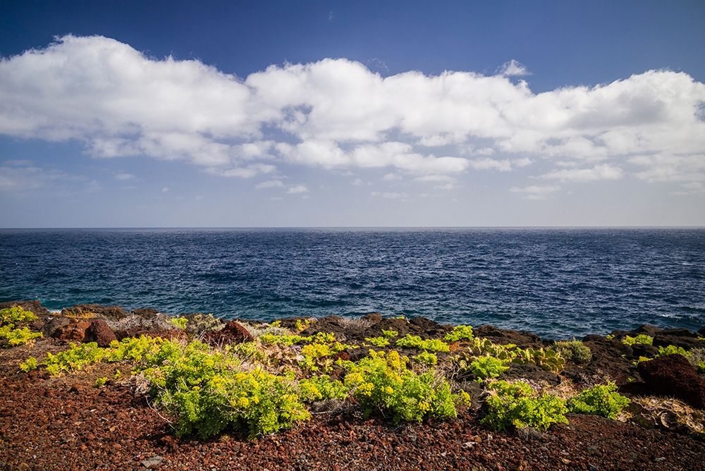 Canary Islands-El Hierro Island-east coast-Caleta-coastal view art print by Walter Bibikow for $57.95 CAD