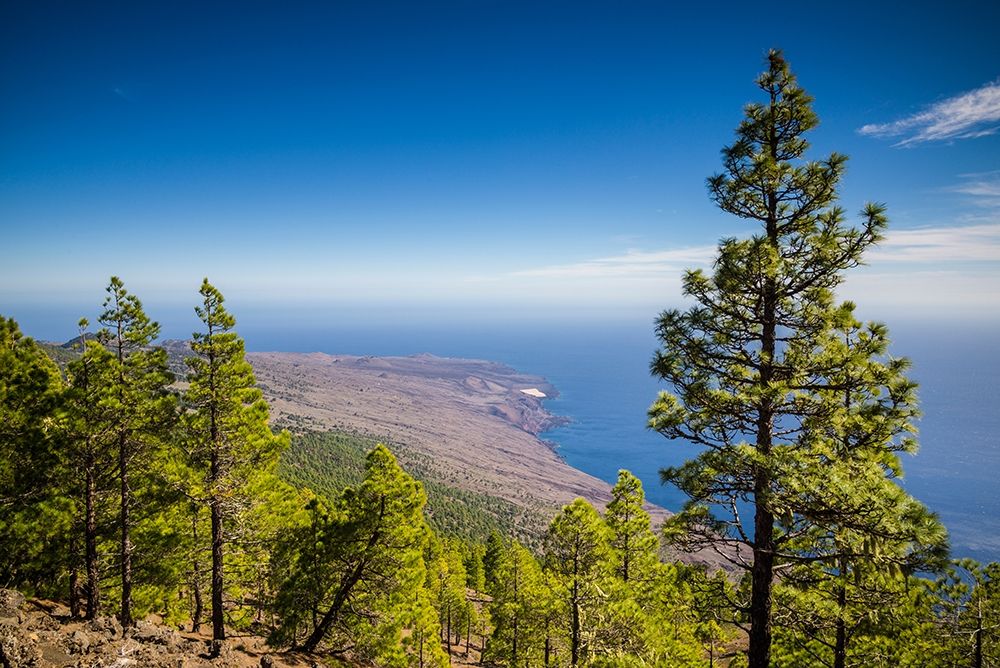 Canary Islands-El Hierro Island-Malpaso Mountain-elevation 1503 meters art print by Walter Bibikow for $57.95 CAD