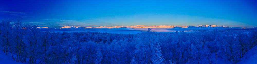Sweden-Norrbotten-Abisko. Winter light over frosted birch forest and Torne Lake. art print by Fredrik Norrsell for $57.95 CAD