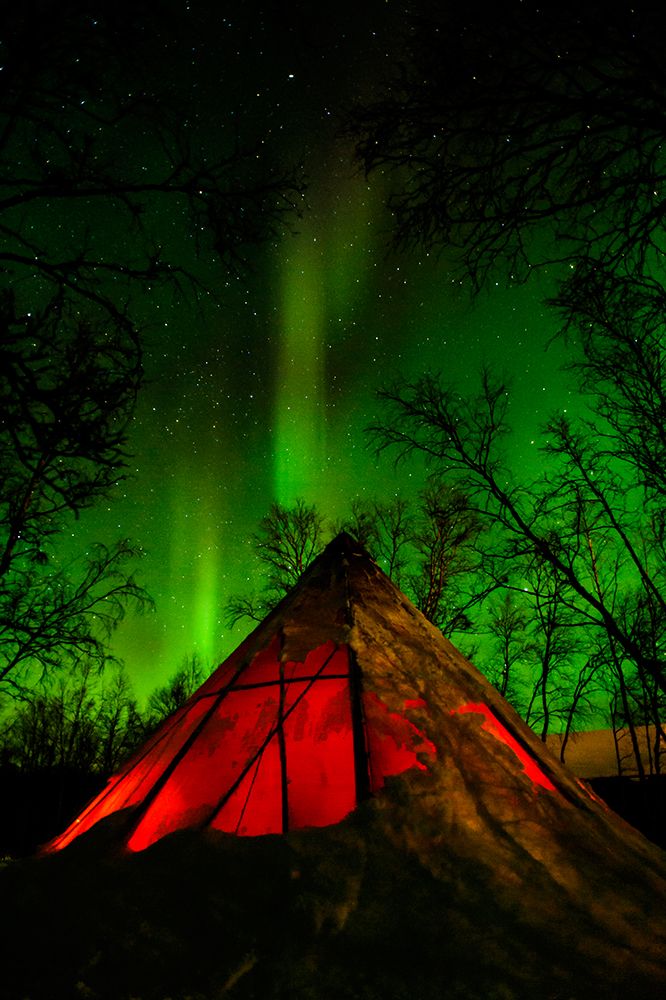 Sweden-Norrbotten-Abisko. Aurora Borealis (Northern Lights) over a Tenttipi. art print by Fredrik Norrsell for $57.95 CAD