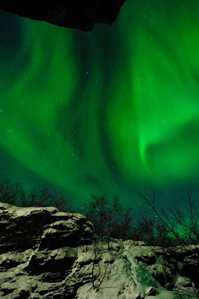 Sweden-Norrbotten-Abisko. Aurora Borealis (Northern Lights) above Abisko canyon. art print by Fredrik Norrsell for $57.95 CAD
