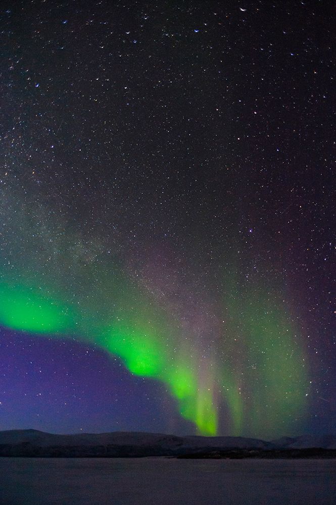 Sweden-Norrbotten-Abisko. Aurora Borealis (Northern Lights) over Torne Lake. art print by Fredrik Norrsell for $57.95 CAD