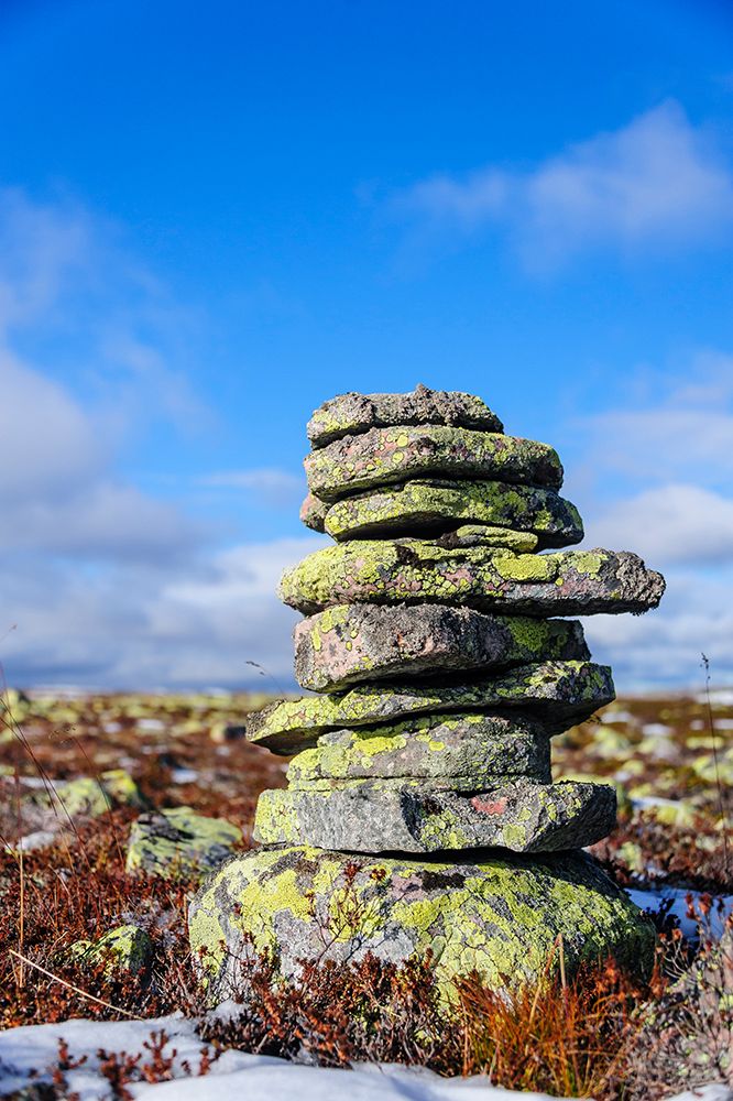 Sweden-Dalarna County-Fulufjallet National Park. Lichen covered rock cairn marking an old trail. art print by Fredrik Norrsell for $57.95 CAD