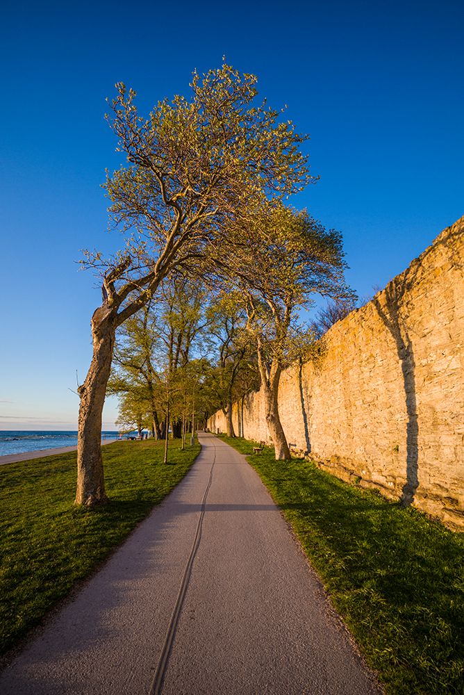 Sweden-Gotland Island-Visby-12th century city wall-most complete medieval city wall in Europe-sunse art print by Walter Bibikow for $57.95 CAD