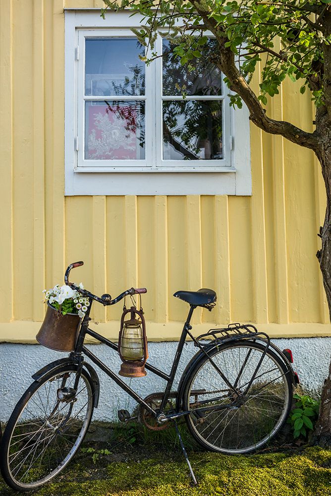 Southern Sweden-Karlskrona-Bjorkholmen area-the neighborhood of naval craftsmen-bicycle art print by Walter Bibikow for $57.95 CAD