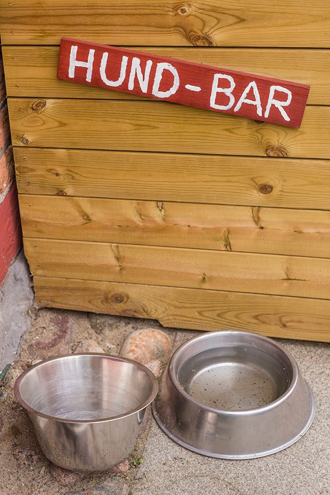 Southern Sweden-Ystad-Hund-Bar-water for dogs-dog bar art print by Walter Bibikow for $57.95 CAD