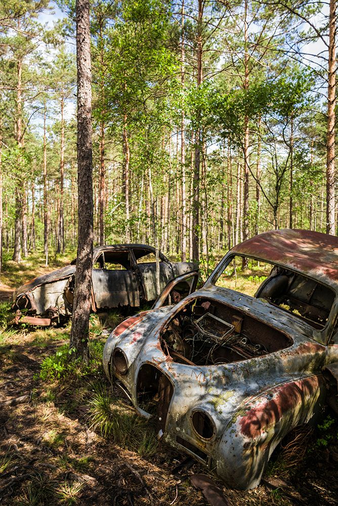 Sweden-Smaland-Ryd-Kyrko Mosse Car Cemetery-former junkyard now pubic park-junked cars art print by Walter Bibikow for $57.95 CAD