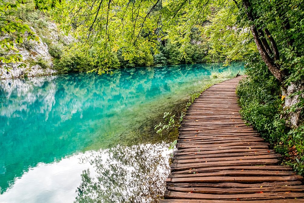 Croatia Plitvice Lakes National Park Walkway along the water in Plitvice Lakes National Park art print by Emily Wilson for $57.95 CAD