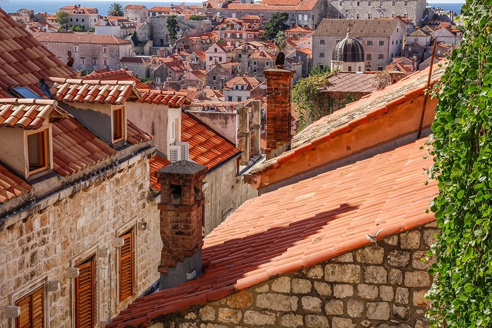 Croatia Dalmatia Dubrovnik Red terra cotta roof tiles in the old town of Dubrovnik art print by Emily Wilson for $57.95 CAD