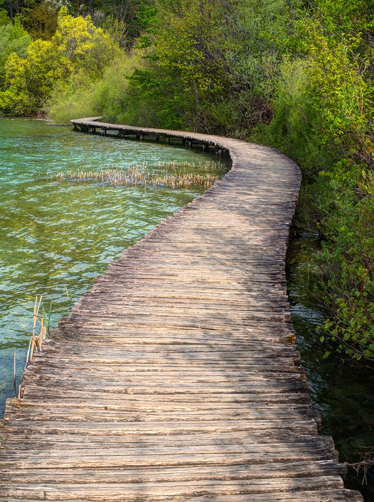 Croatia-Boardwalk in Plitvice Lakes National Park. art print by Julie Eggers for $57.95 CAD