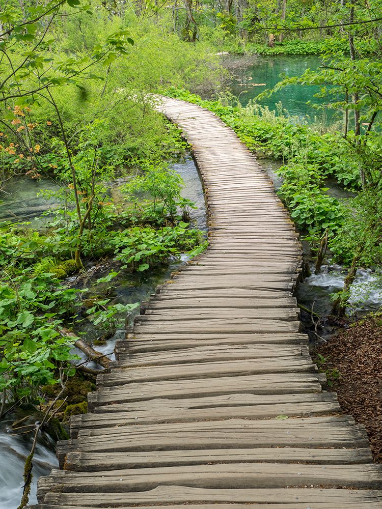 Croatia-Boardwalk in Plitvice Lakes National Park. art print by Julie Eggers for $57.95 CAD