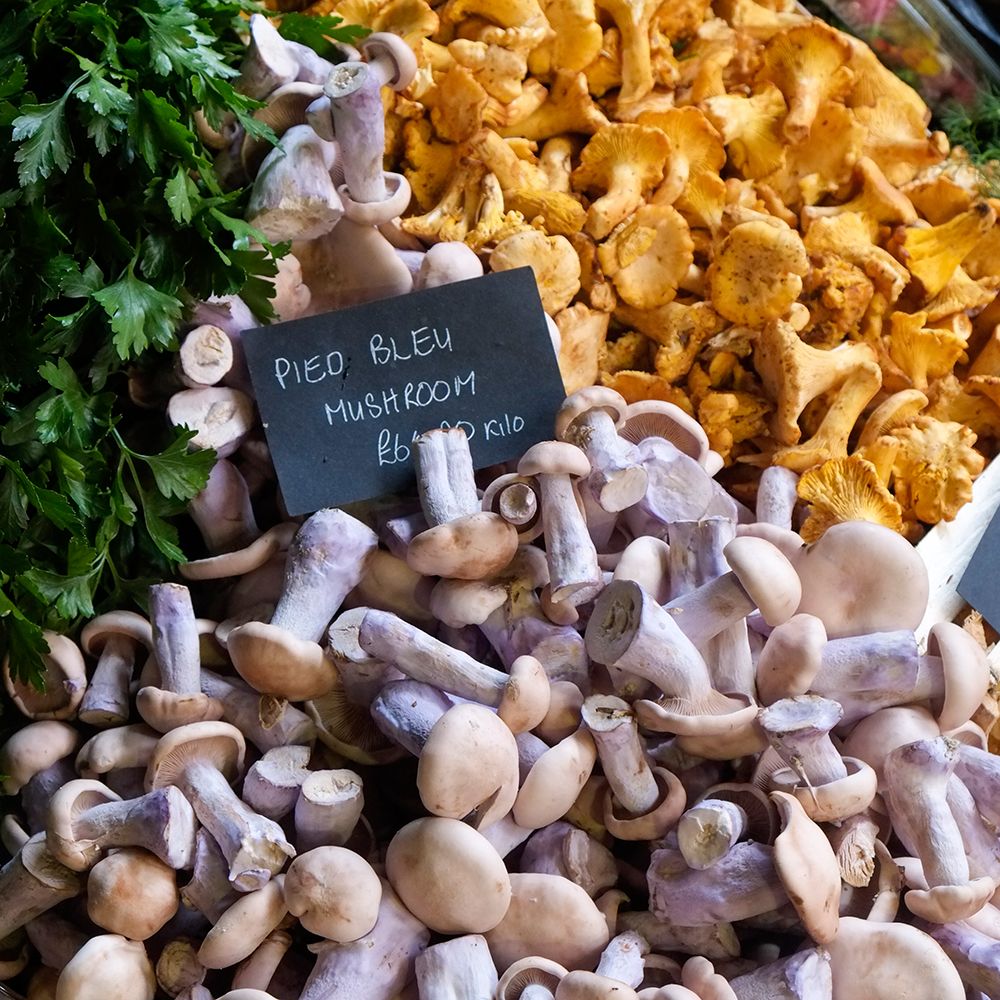 London, England, Great Britain. Borough Hall Market, fresh food, vendors and produce market. art print by Julien McRoberts for $57.95 CAD