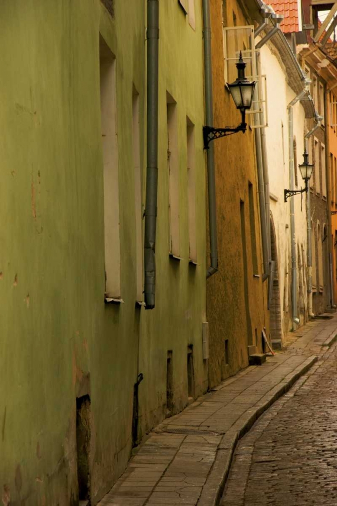 Estonia, Tallinn Narrow cobblestone street art print by Nancy ,  Steve Ross for $57.95 CAD