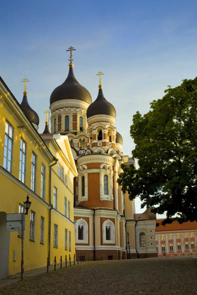 Estonia, Tallinn Alexander Nevsky Cathedral art print by Jim Zuckerman for $57.95 CAD