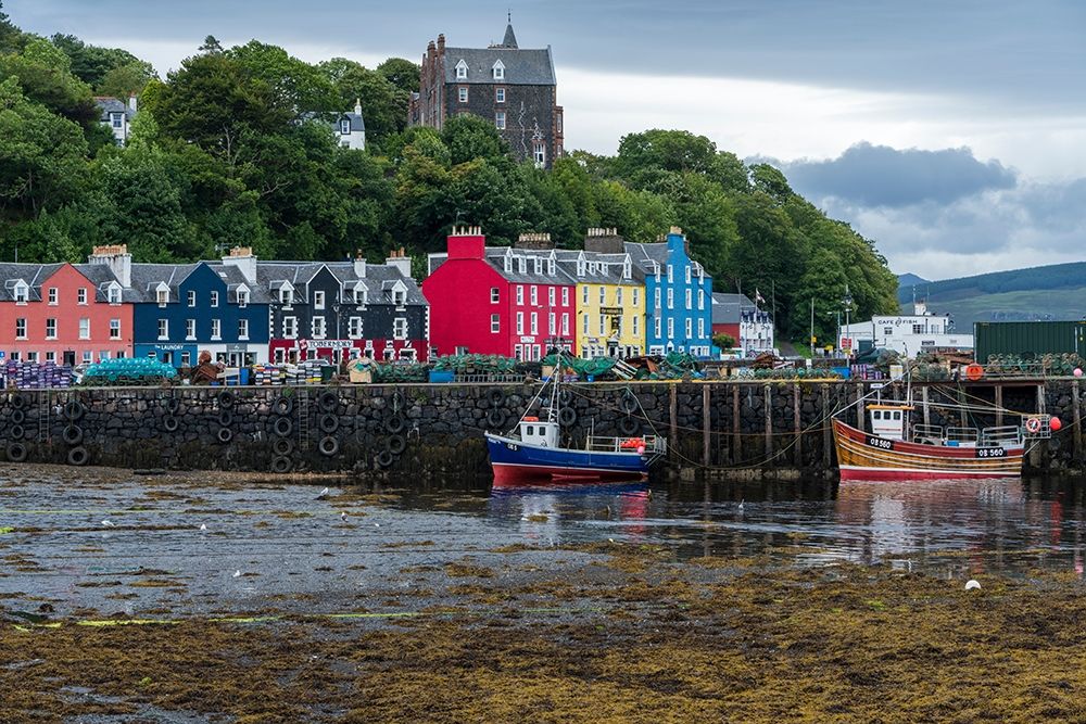 The colorful waterfront shops of Tobermory-Isle of Mull-Scotland art print by Brenda Tharp for $57.95 CAD
