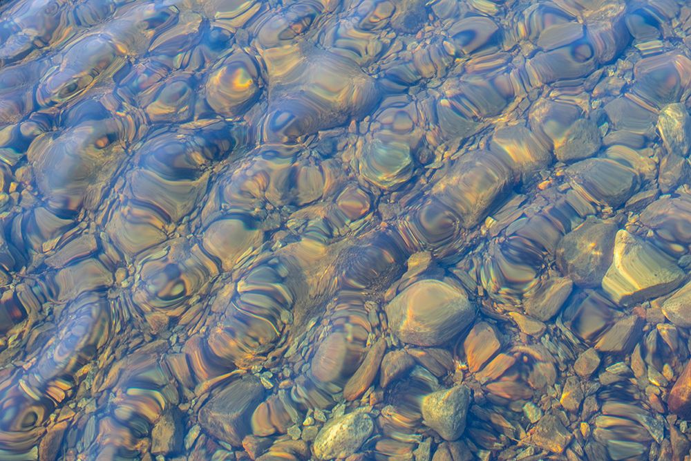 Greenland, Kangerlussuaq. Stones at the bottom of clear pons. art print by Cindy Miller Hopkins for $57.95 CAD