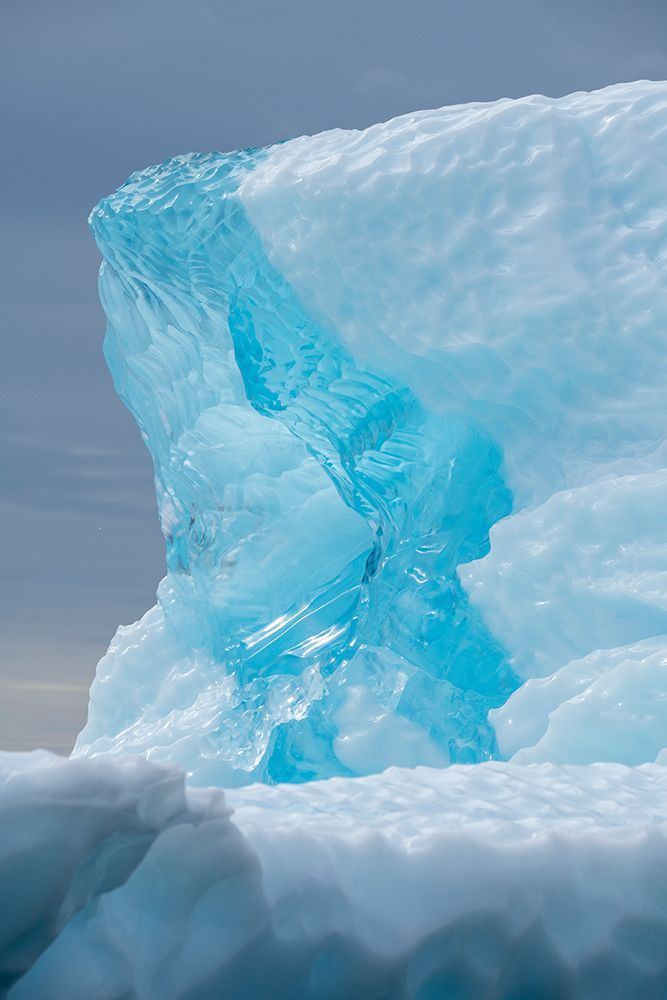 Greenland, Disko Island. Blue iceberg along the Kuannit Coast. art print by Cindy Miller Hopkins for $57.95 CAD