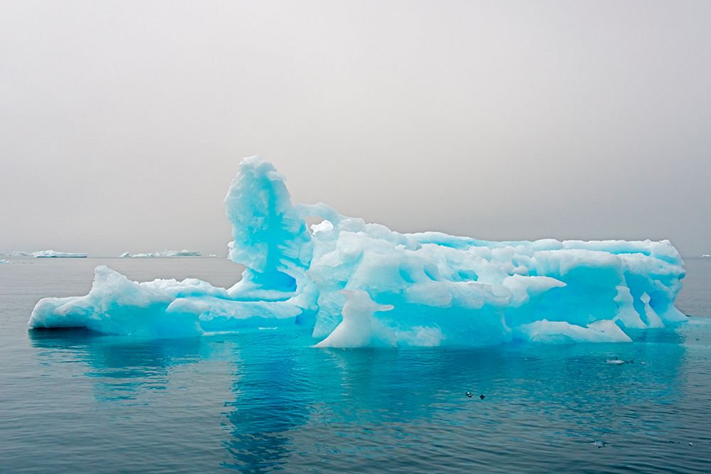 Blue iceberg in the fjord of Narsarsuaq-Greenland art print by Keren Su for $57.95 CAD