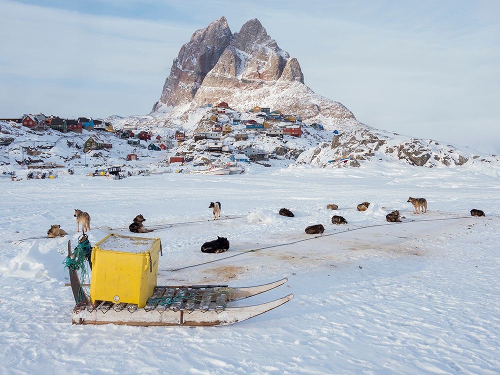 Team of sled dog during winter in Uummannaq in Greenland art print by Martin Zwick for $57.95 CAD