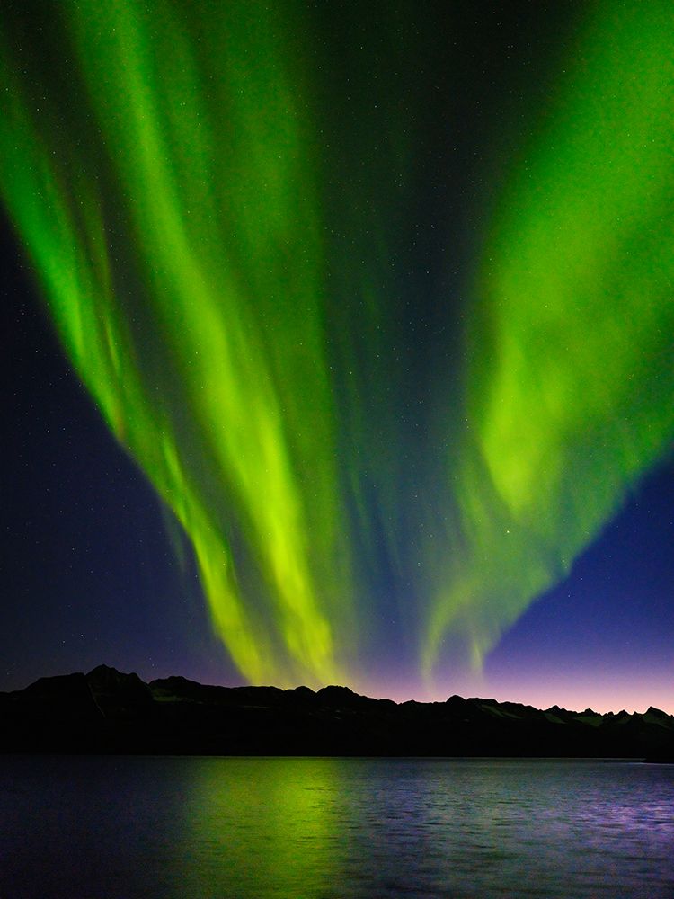 Northern lights over Angmagssalik Fjord-Greenland- Danish Territory art print by Martin Zwick for $57.95 CAD