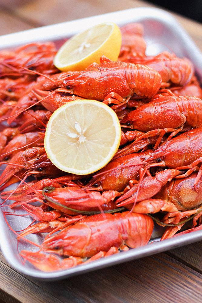 Crayfish close-up art print by Majority World CIC for $57.95 CAD