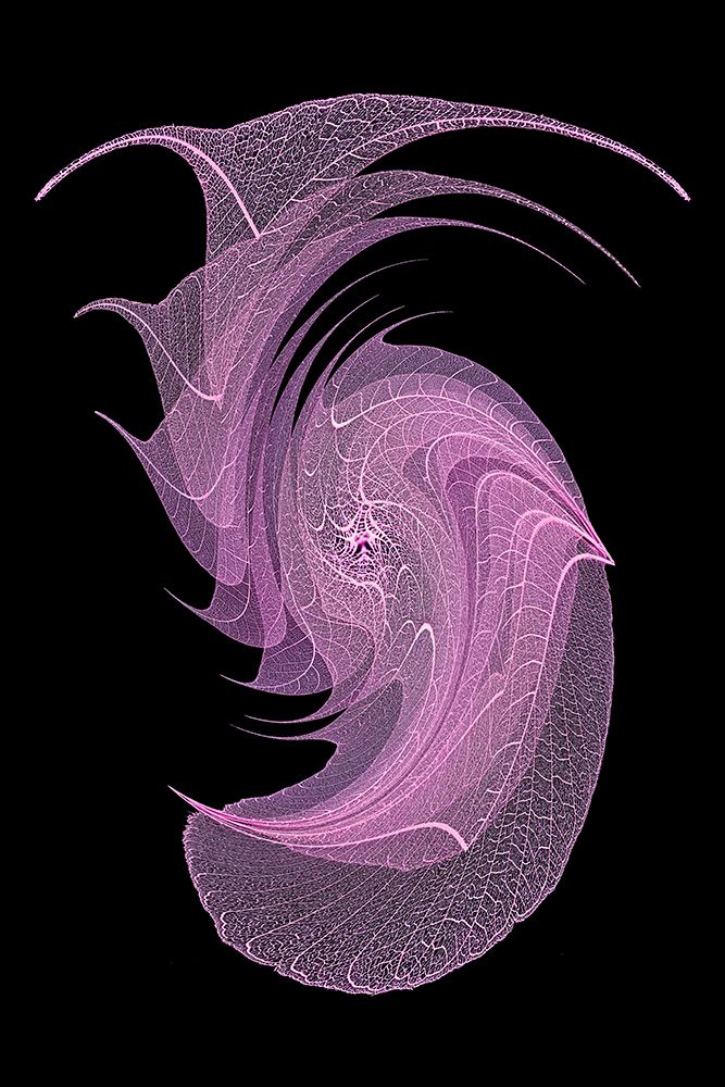 Purple colored skeleton leaves arranged on black background art print by Adam Jones for $57.95 CAD