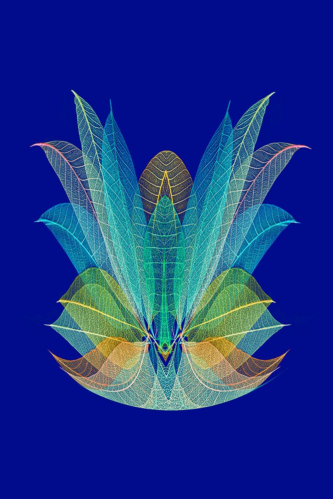 Multi-colored skeleton leaves arranged on blue background art print by Adam Jones for $57.95 CAD