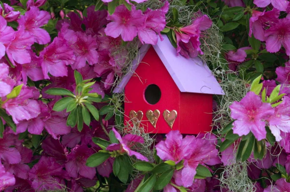 Birdhouse and Azaleas in Garden art print by Nancy Rotenberg for $57.95 CAD