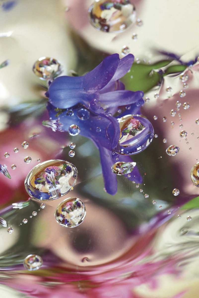 Hyacinth Bud on Mylar With Reflections art print by Nancy Rotenberg for $57.95 CAD