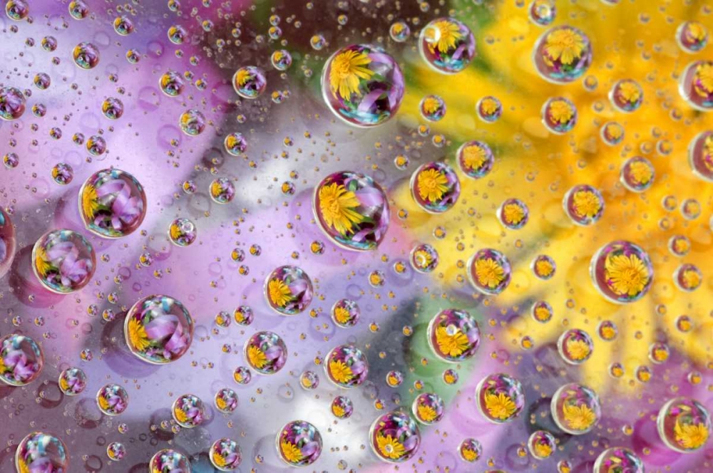 Bubbles abstract with flowers art print by Nancy Rotenberg for $57.95 CAD