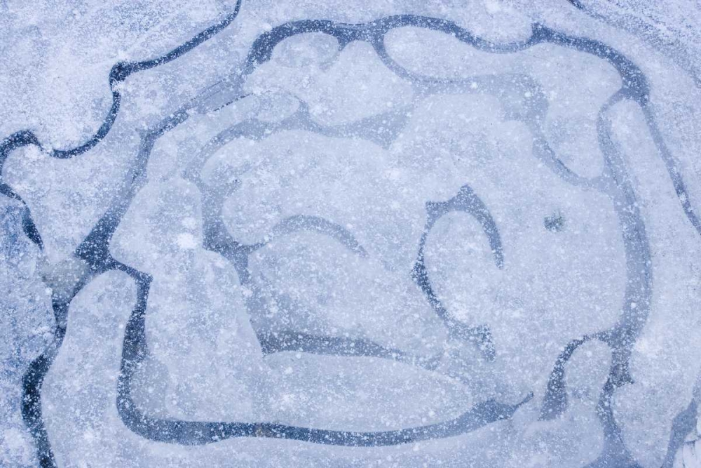 Patterns in a frozen puddle art print by Don Paulson for $57.95 CAD