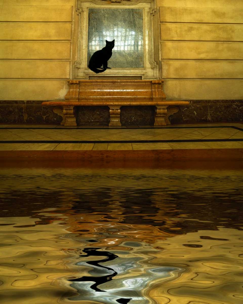 Concept of black cat and water art print by Jim Zuckerman for $57.95 CAD