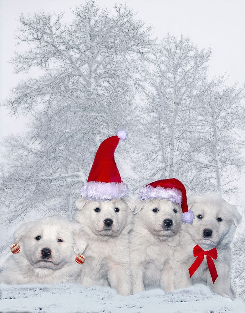 Great Pyrenees puppies with Christmas decorations art print by Jaynes Gallery for $57.95 CAD