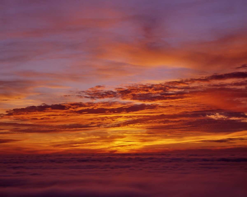 Sunset over the ocean from Cape Perpetua, OR, USA art print by Steve Terrill for $57.95 CAD