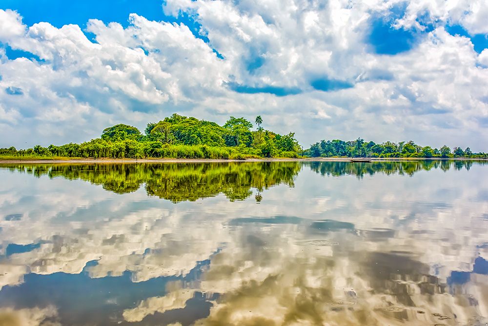 Sepik River, Papua New Guinea. Dense jungle and sandy banks reflected along the river. art print by Murray McCallum for $57.95 CAD