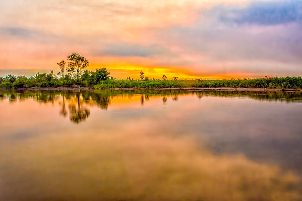 Sepik River, Papua New Guinea. Jungle trees along sandy bank reflected in the river at sunset. art print by Murray McCallum for $57.95 CAD
