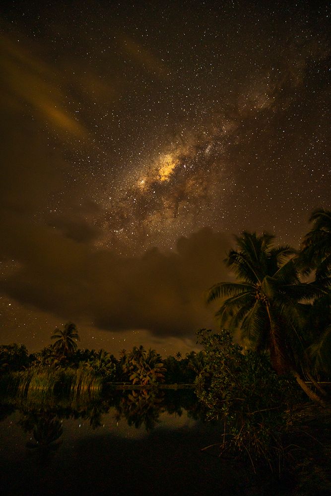 French Polynesia- Tahaa. Palm trees and night sky with Milky Way. art print by Jaynes Gallery for $57.95 CAD