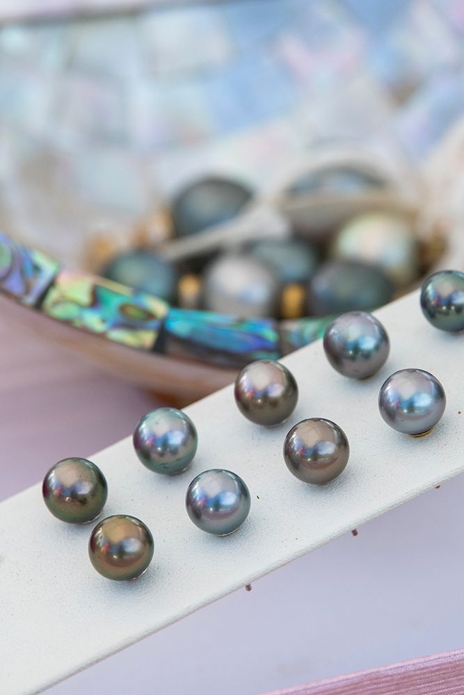 South Pacific, French Polynesia, Mangareva, Rikitea. Black pearls that the island is famous for. art print by Cindy Miller Hopkins for $57.95 CAD