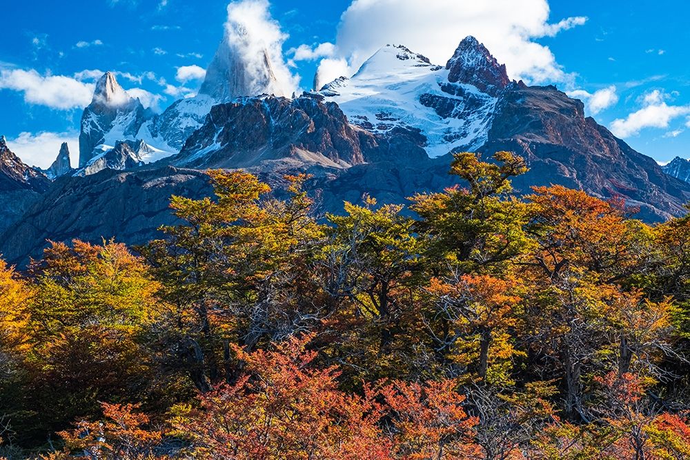 Argentina-Patagonia-El Chalten Fitz Roy art print by George Theodore for $57.95 CAD
