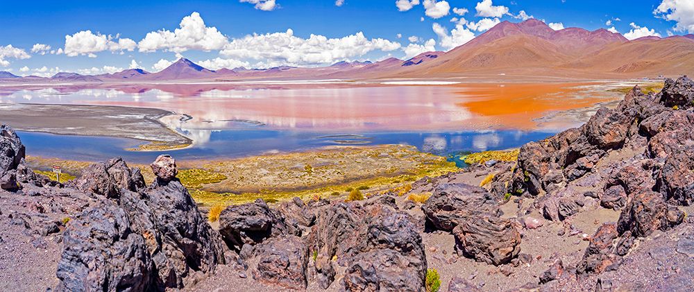 Bolivia. Panorama view of Laguna Colorada, home to three of the six species of flamingos, art print by Murray McCallum for $57.95 CAD