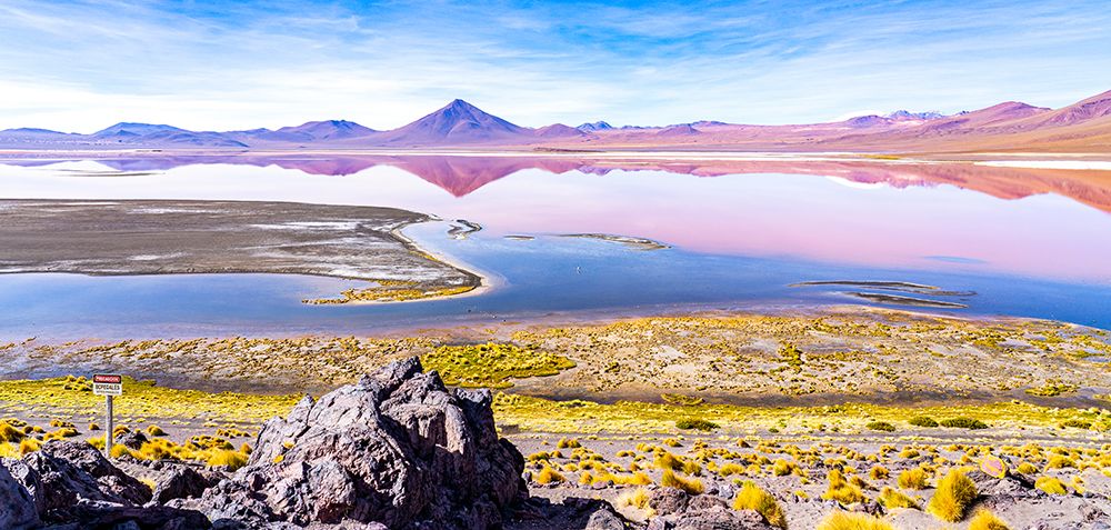 Laguna Colorada, Bolivia. Lake in Altiplano, home to three of the worlds six species of flamingos. art print by Murray McCallum for $57.95 CAD