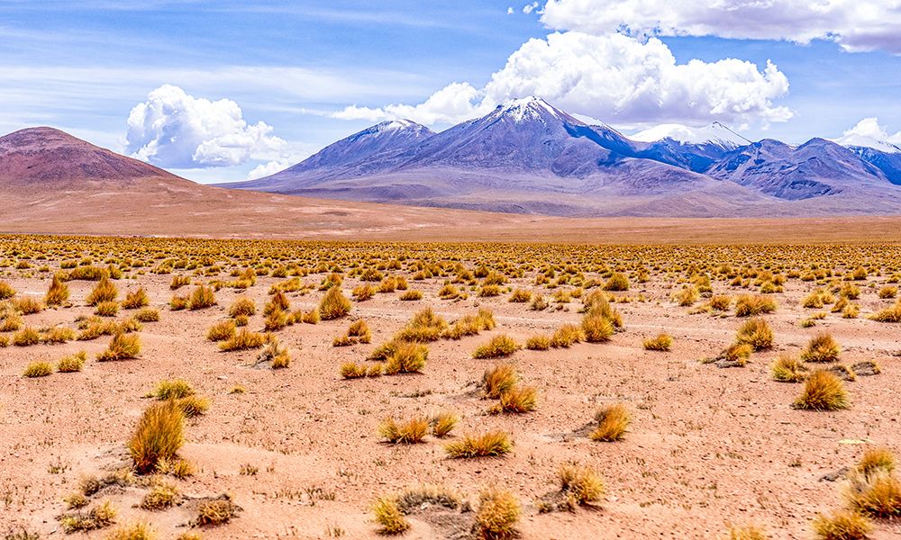 Altiplano, Bolivia. Mountains in the Cordillera Occidental of Andean Mountain Range bordering Chile art print by Murray McCallum for $57.95 CAD