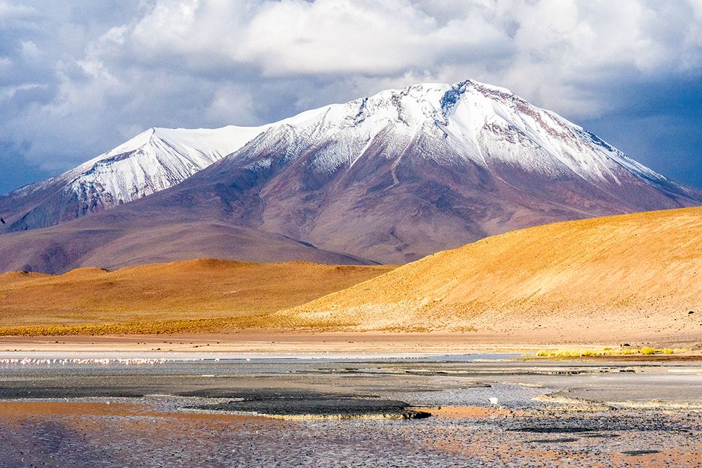 Altiplano, Bolivia. Flamingos grazing in Laguna Honda, Deep Lake, with the Andes Mountains behind. art print by Murray McCallum for $57.95 CAD