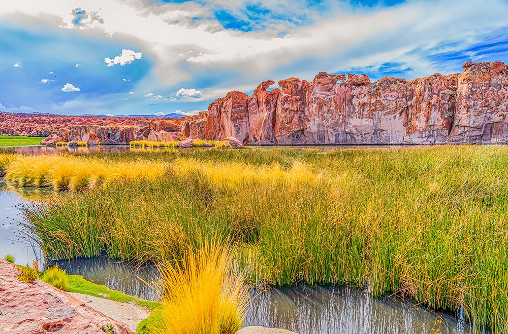 Altiplano, Bolivia, Landscape view of box canyon containing marshes and peatlands. art print by Murray McCallum for $57.95 CAD