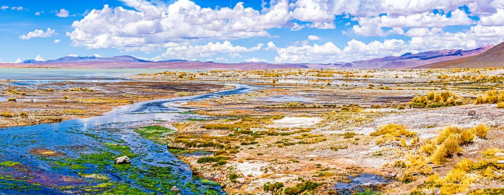Altiplano, Bolivia. Laguna Verde in the high desert of the Altiplano in the Andean Mountain Range. art print by Murray McCallum for $57.95 CAD
