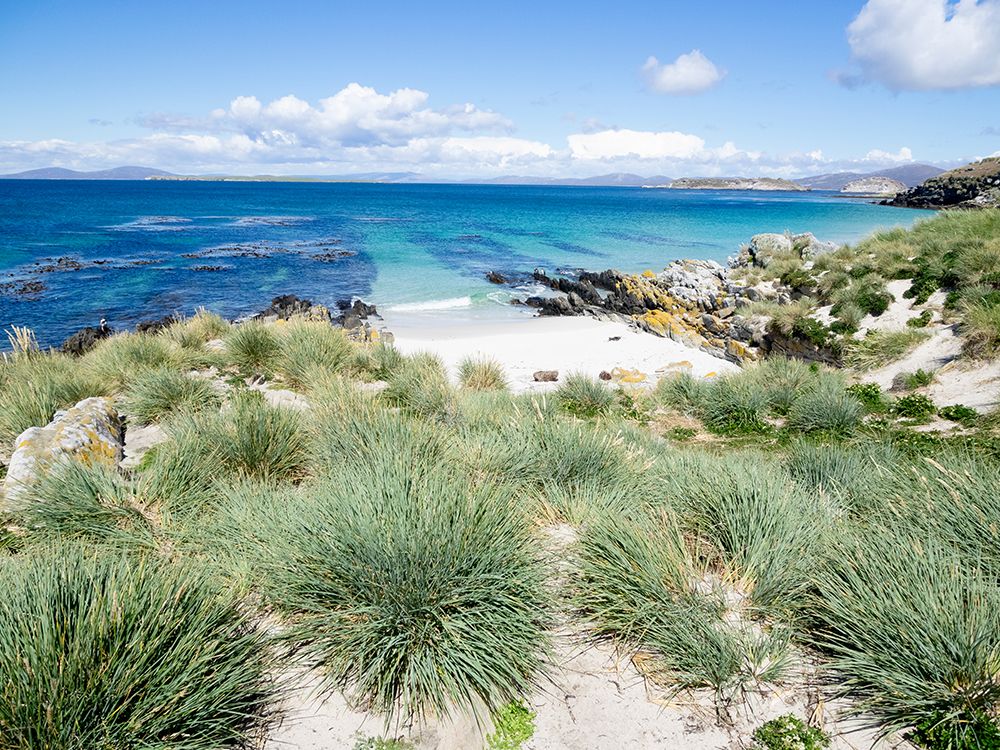 Falkland Islands, Carcass Island. Rocks and tussock grass with bits of white sand line the lagoon. art print by Ellen B. Goff for $57.95 CAD