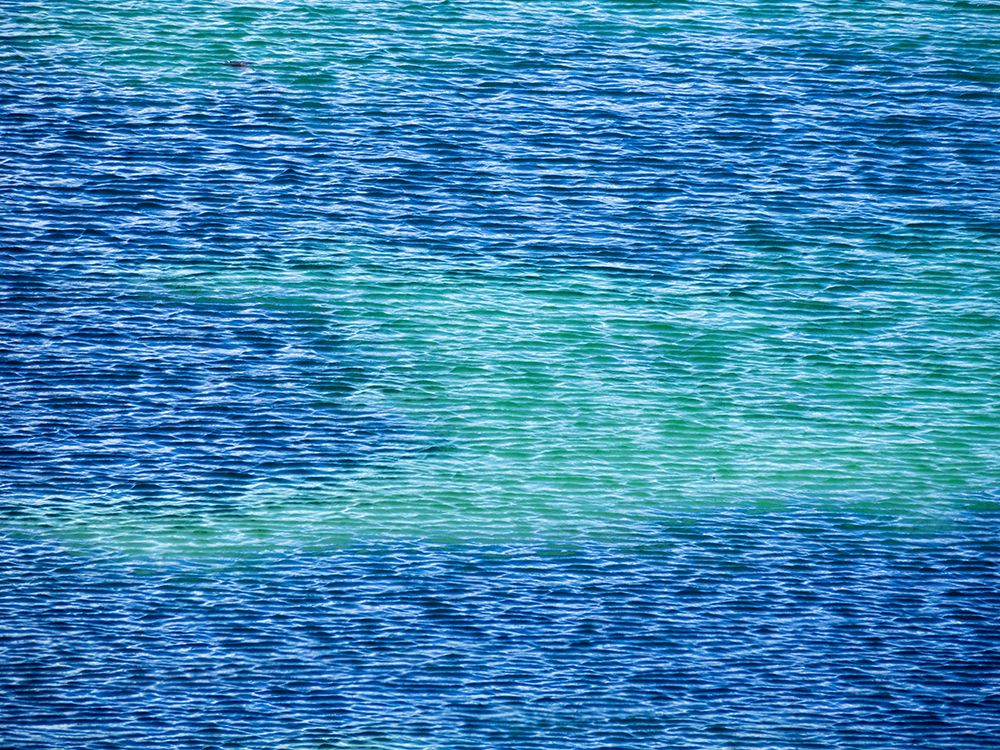 Falkland Islands, Carcass Island. The brilliant blue of the lagoon creates colors and patterns. art print by Ellen B. Goff for $57.95 CAD