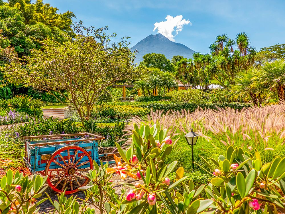 Antigua, Guatemala.  a garden in front of Volcan Agua, an extinct volcano. art print by Murray McCallum for $57.95 CAD