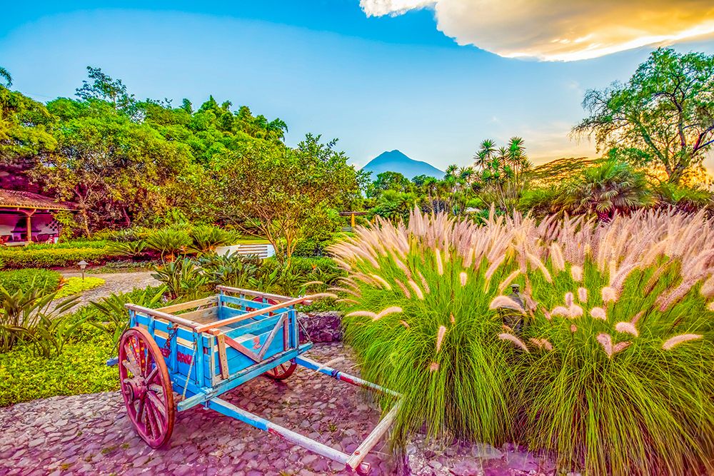 Antigua, Guatemala. Wide angle view at sunset of Volcan Fuego above a garden art print by Murray McCallum for $57.95 CAD