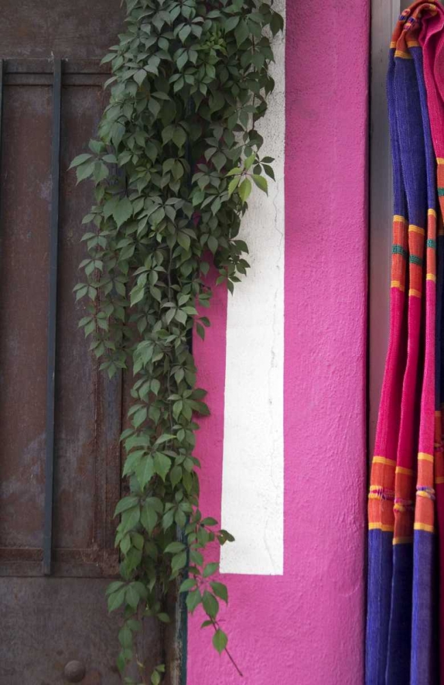 Mexico, Puerto Vallarta Serape hanging by a wall art print by Nancy Steve Ross for $57.95 CAD